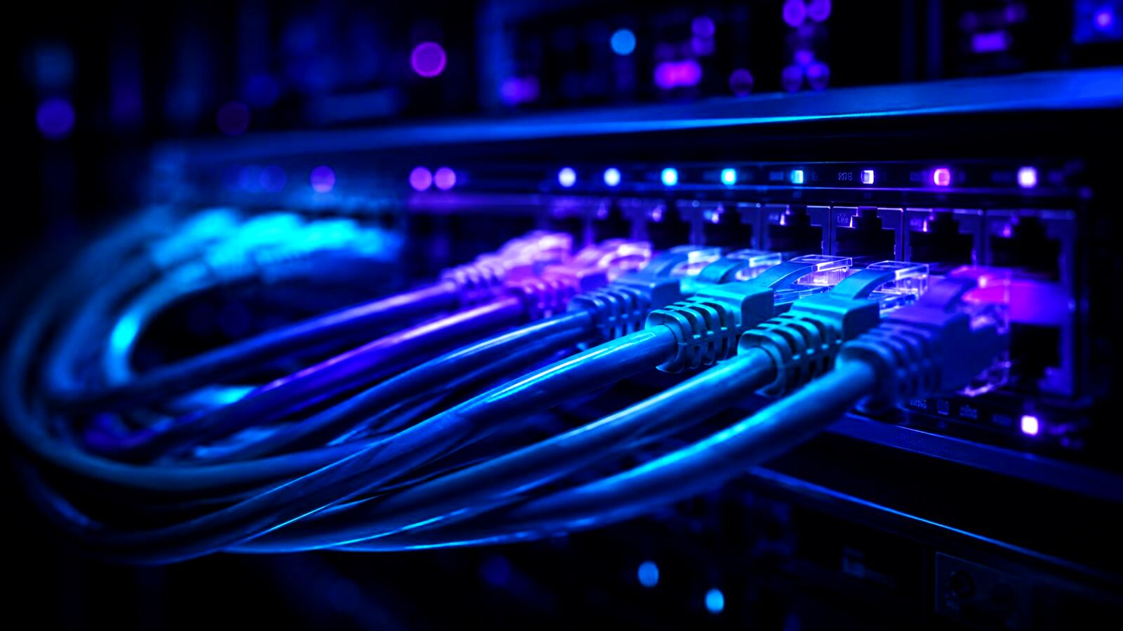 Close-up of network cables plugged into a patch panel switch, blue and purple lighting